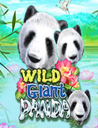 ทำไมต้องทดลอง เล่น เกมส์ ก่อนลงสนามจริง